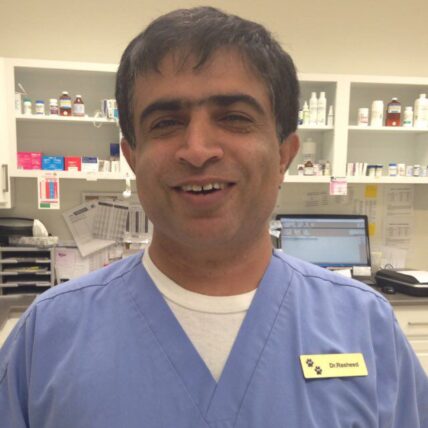 Dr Rasheed