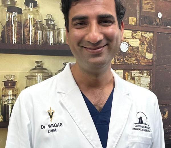 Dr Waqas