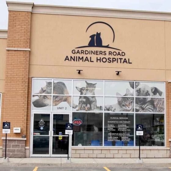 gardiners road animal hospital