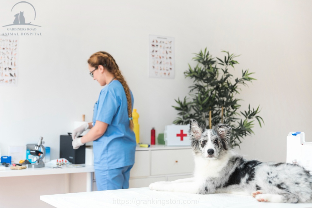 Pet Laboratory Services