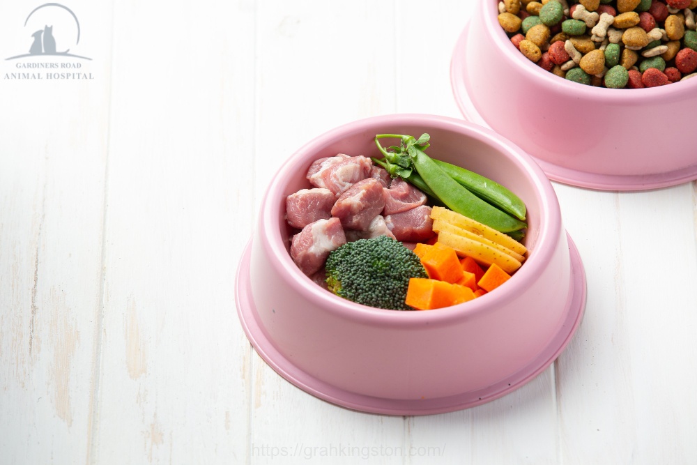 Pet Nutrition Service Kingston